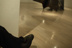 visual